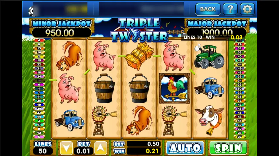 Triple Twister on 3Win8: pigs, buckets and a weather vane on 50 lines at 0.01, win 0.21